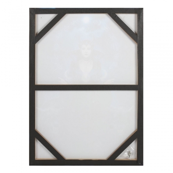 Preview: Mondhexe Bild 70 x 50 cm - Anne Stokes