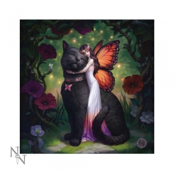 Leuchtkissen Cat and fairy Soft Textil 42 x 42 cm - James Ryman