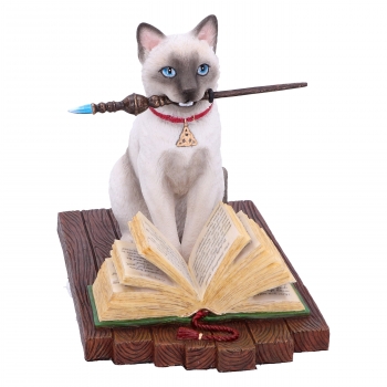 Hocus Pocus Figur 16,8 cm Lisa Parker - Kopie