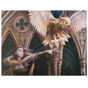 Owl messenger Bild 25 x 19 cm - Anne Stokes