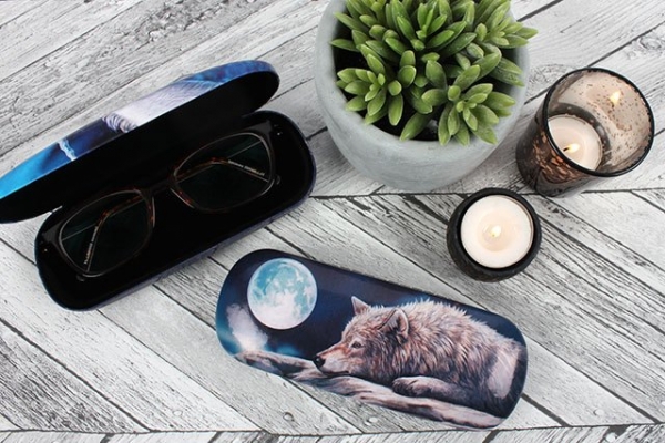 Eule Brillenetui - Lisa Parker