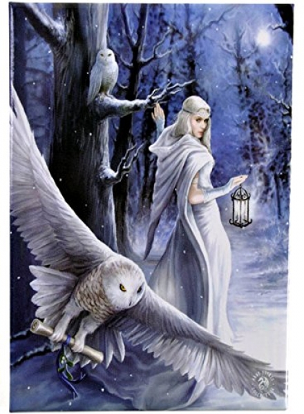 Midnight Messenger - Anne Stokes