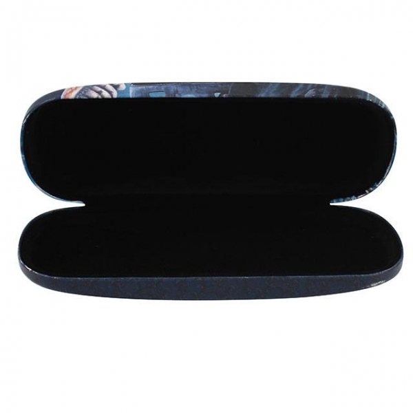 Witching Hour Brillenetui - Lisa Parker