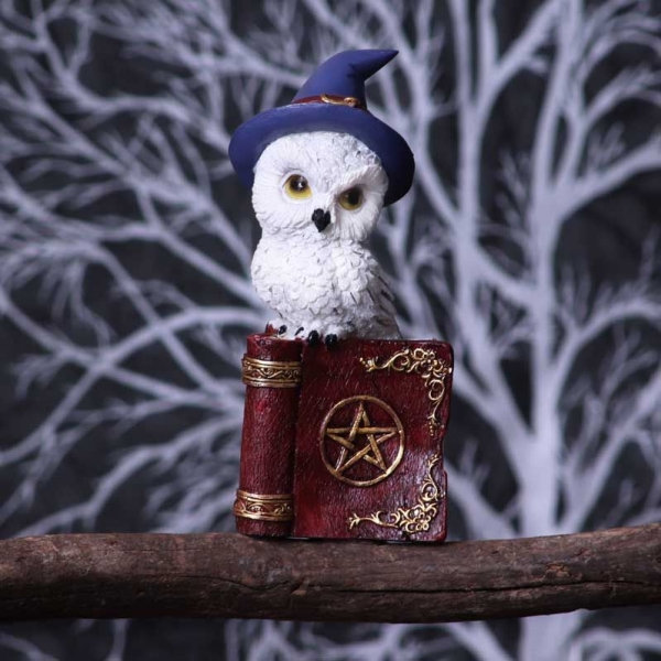 Eule auf Zauberbuch 12.5 cm