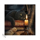 Leuchtkissen Witching Hour Soft Textil 42 x 42 cm - Lisa Parker